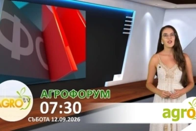 В АГРОФОРУМ: Пшеница, дини и праскови – сезон на добиви и трудна реализация