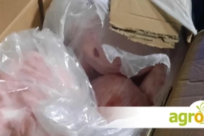 БАБХ конфискува и насочи за унищожаване над 2 тона храни с неизвестен произход край с. Крушевец
