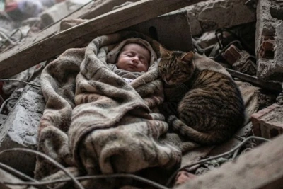 Котка лежала почти 12 часа под развалините, за да спаси бебе