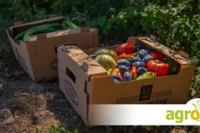 Биоградините на семейство Ралчеви отварят врати за малки и големи