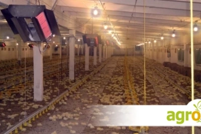 Лъчисто газово отопление за ферми и индустрия: топлина точно там, където е необходима