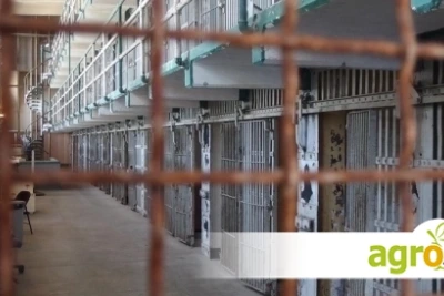 Двойката, изтезавала животни над 10 години, остава зад решетките: Нови разкрития от сдружение КАЖИ