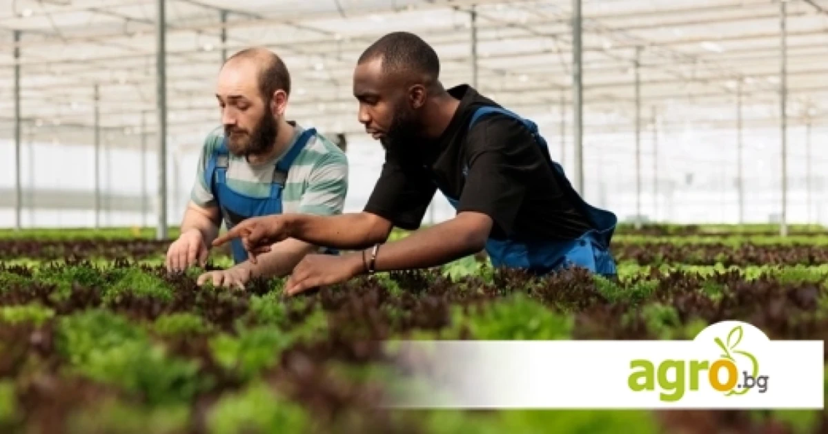 AgRI и храните 2040: ЕС насочва научните изследвания към реални решения за земеделието