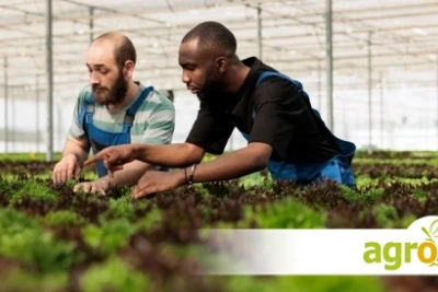 AgRI и храните 2040: ЕС насочва научните изследвания към реални решения за земеделието