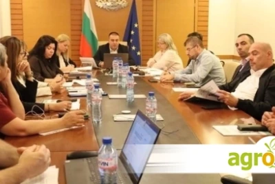 По-гъвкави правила за кланичните пунктове към фермите ще улеснят животновъдите