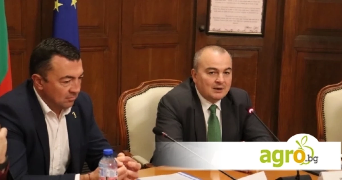 Производството на розов цвят в България бележи ръст от 31% през 2026 година
