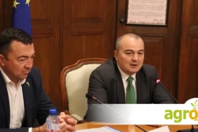Производството на розов цвят в България бележи ръст от 31% през 2026 година