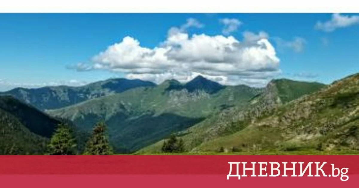 В Централен Балкан са хванати незаконно навлезли с автомобили за бране на боровинки без разрешително