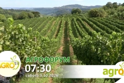 В АГРОФОРУМ: Биопроизводството празнува, лозарите търсят изход от трудния пазар