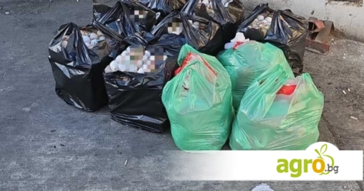 БАБХ иззе над 400 кг животински продукти на „Капитан Андреево“