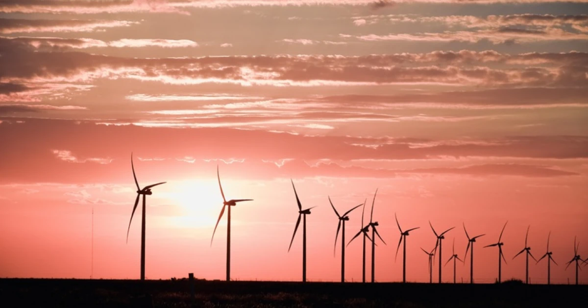 EU-backed 650 MW wind farm in Ukraine to supply electricity to Romania