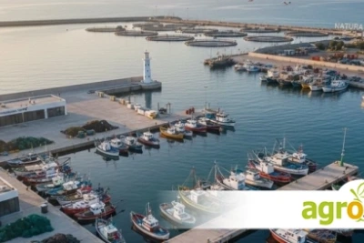 ДФЗ изплати над 2,6 млн. евро за рибарство и аквакултури