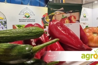 Българските зеленчуци и подправки завладяха международното изложение Fruit Attraction 2026 в Мадрид