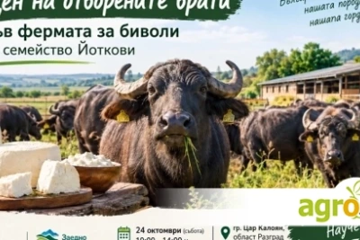 Ден на отворените врати във фермата за биволи на семейство Йоткови