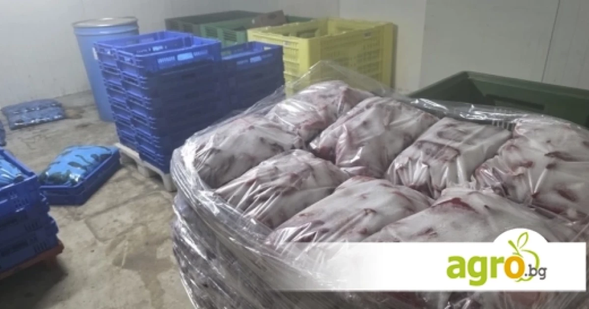 БАБХ затвори нелегален цех за консерви в село Дълго поле и конфискува над тон храни