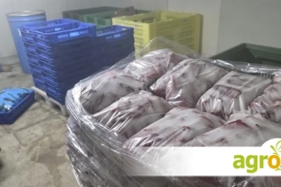 БАБХ затвори нелегален цех за консерви в село Дълго поле и конфискува над тон храни
