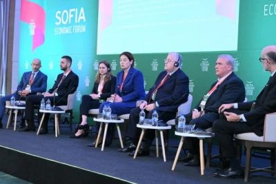 Министър Ива Петрова: Нивото на Дунав все още е критично ниско