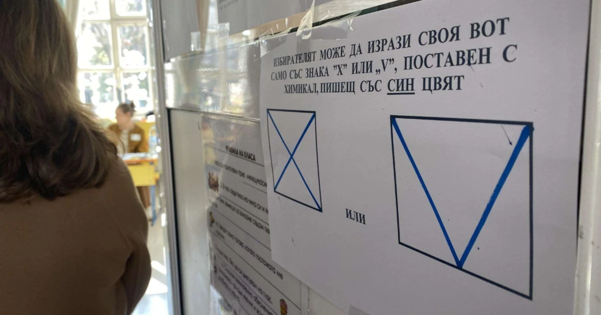 "Виновни са си политици": Политолози прогнозират ниска активност и тежък балотаж