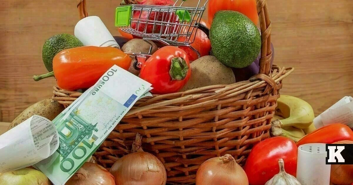 Ритейл новини: 🛒Българите ползват AI преди покупки; MODIVO планира още магазини