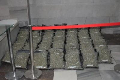 Задържала близо 47,5 килограма канабис в гърменското село Осиково