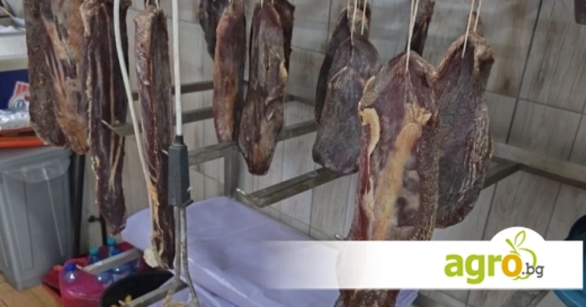 БАБХ затвори нелегален цех за месни продукти в Шуменско, откри над тон храни без произход