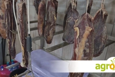 БАБХ затвори нелегален цех за месни продукти в Шуменско, откри над тон храни без произход