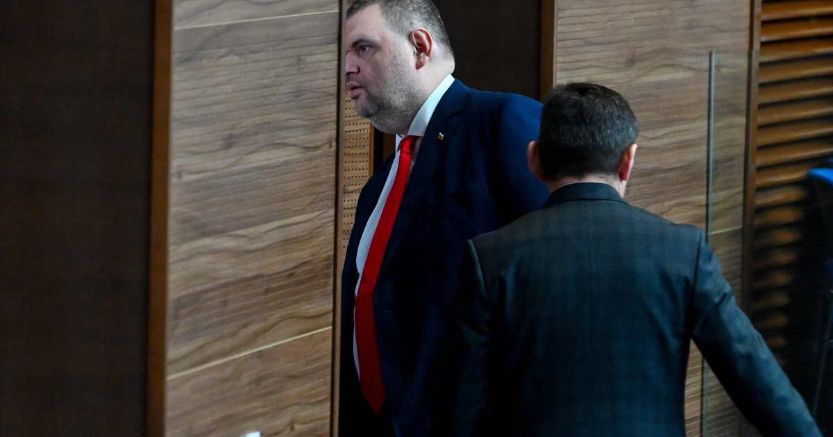 Атанасова и Сталийски са пътували с Пеевски: какво пише в справките на службите до парламента