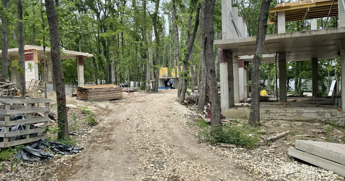 "Баба Алино": Безполезната държава в 120 страници кореспонденция