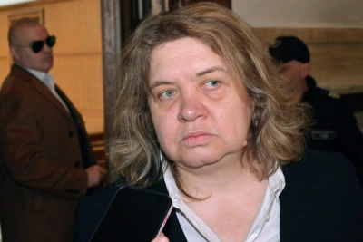 Конституцията от 1991 г.: критики или разклащане на фундаментите